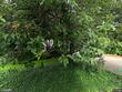 4509 ne blue heron ct, newberg,  OR 97132