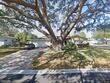 490 pinewood dr, dunedin,  FL 34698