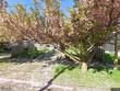 8155 n haven ave, portland,  OR 97203