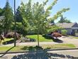 16740 sw stellar dr, sherwood,  OR 97140