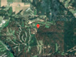 kelly pond road, decatur,  AR 72722