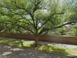 15432 sw 114th ct
                                ,Unit 81, portland,  OR 97224