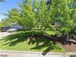 7165 sw renee dr, portland,  OR 97225
