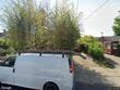 4915 ne 8th ave, portland,  OR 97211