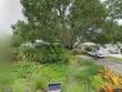 253 sunlit cove dr ne, saint petersburg,  FL 33702