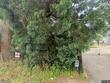 15561 se tong rd, damascus,  OR 97089