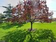 9601 bayview dr, ypsilanti,  MI 48197