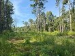 000 bush dairy rd., laurel,  MS 39443
