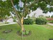 961 58th ave s, saint petersburg,  FL 33705