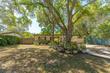 1325 sandy ln, clearwater,  FL 33755