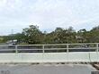  palm harbor,  FL 34684