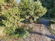 46389 sw patton valley rd, gaston,  OR 97119