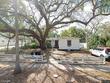 559 scotland st, dunedin,  FL 34698