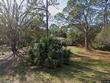 950 waverly st, oldsmar,  FL 34677