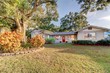 606 clarendon st, oldsmar,  FL 34677