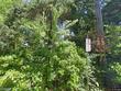 11800 s breyman ave, portland,  OR 97219