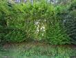 21192 nw dairy creek rd, north plains,  OR 97133