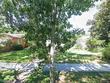 2530 7th st n, saint petersburg,  FL 33704