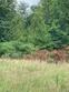 1118 beulah rd, nathalie,  VA 24577