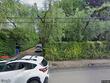 9540 se 42nd ave, portland,  OR 97222