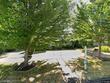2117 a st, forest grove,  OR 97116