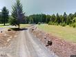 2351 antler dr, forest grove,  OR 97116