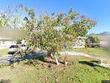 4211 28th ave n, saint petersburg,  FL 33713