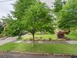 2427 ne 10th ave, portland,  OR 97212