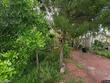 6931 3rd st n, saint petersburg,  FL 33702