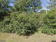 36 pond meadow rd, natchez,  MS 39120