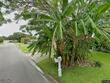 1960 canadiana ct, dunedin,  FL 34698