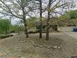 9 stringer ln, bella vista,  AR 72715