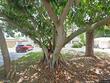 2145 68th ave s, saint petersburg,  FL 33712