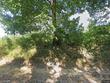 846 lower woodville rd, natchez,  MS 39120