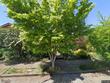 4727 ne 28th ave, portland,  OR 97211