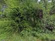 6605 w burnside st #131, portland,  OR 97210