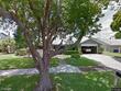 1906 del oro ct, dunedin,  FL 34698
