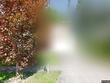17663 sw wapato st, sherwood,  OR 97140