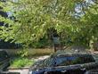 4407 ne 8th ave, portland,  OR 97211
