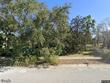 1471 n jasmine ave, tarpon springs,  FL 34689
