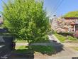6123 ne thompson st, portland,  OR 97213