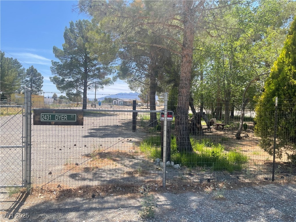 2431 dyer ct, pahrump,  NV 89048