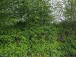 3383 sw 209th ave, hillsboro,  OR 97123