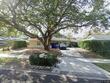604 limetree dr, oldsmar,  FL 34677