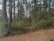 218 buccaneer dr, hattiesburg,  MS 39402