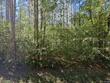67 lott town rd, hattiesburg,  MS 39402