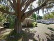 1523 scranton ave, clearwater,  FL 33756
