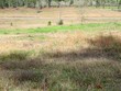  ellisville,  MS 39437