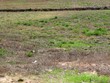  ellisville,  MS 39437