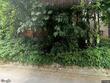 5244 sw 42nd ave, portland,  OR 97221